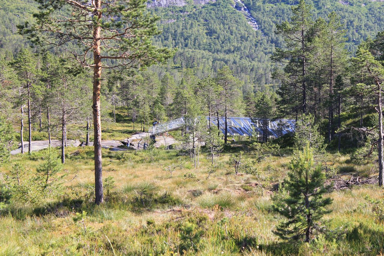 Hytte Ved Gaularfjellet Viksdalen Ngoại thất bức ảnh
